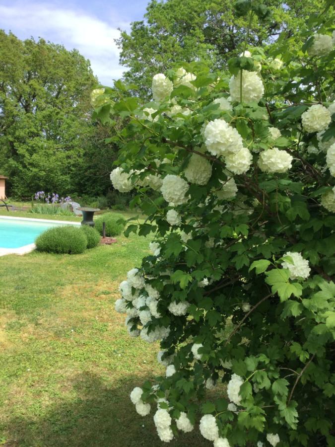 Clos De Bartinquie Lalinde ภายนอก รูปภาพ